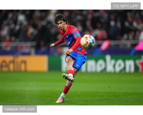 菲利克斯体系适配性与实力受限原因分析